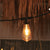 ALLEGRA STRING LIGHTS