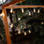 ALLEGRA STRING LIGHTS