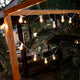 ALLEGRA STRING LIGHTS