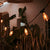 ALLEGRA STRING LIGHTS