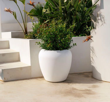 Macetero Grande de Diseño Orgánico ARECA