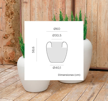 areca#Tamaño_Areca 60 (ø60 x 58)