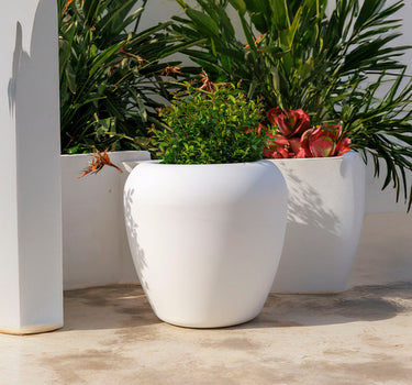 Macetero Grande de Diseño Orgánico ARECA