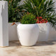 Macetero Grande de Diseño Orgánico ARECA