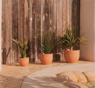 Round colored flower pot AZALEA 30