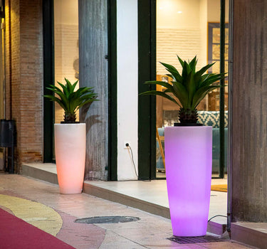 Bamboo planter with light 70
