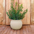 BAMBOO 90 color planter