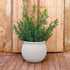 BAMBOO 90 color planter