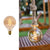 Spare bulb for SIMONA or ILARIA