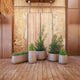 CIRCOOLAR Round flowerpot in CAMELIA colour Recycled material