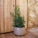 CIRCOOLAR Round flowerpot in CAMELIA colour Recycled material