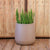 CIRCOOLAR Round flowerpot in CAMELIA colour Recycled material