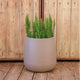 CIRCOOLAR Round flowerpot in CAMELIA colour Recycled material