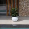 DALIA#tamaño_Dalia 30#color del producto_blanco Opaco