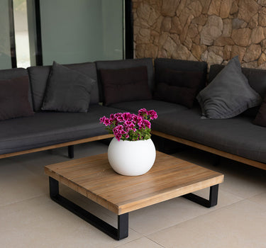 DALIA#tamaño_Dalia 30#color del producto_blanco Opaco