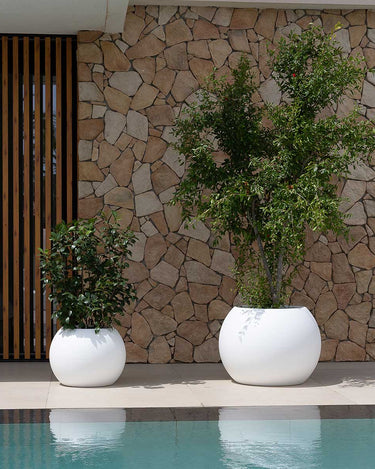DALIA#tamaño_Dalia 70#color del producto_blanco Opaco