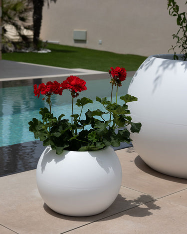 DALIA#tamaño_Dalia 30#color del producto_blanco Opaco