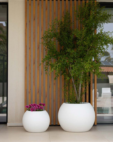 DALIA#tamaño_Dalia 50#color del producto_blanco Opaco