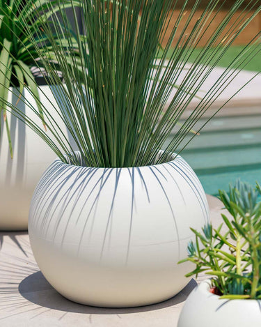 DALIA#tamaño_Dalia 50#color del producto_beige Opaco