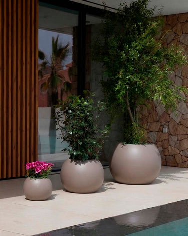 DALIA#color del producto_topo Opaco