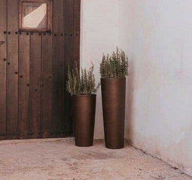FICUS 60 colored round flower pot