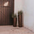 FICUS 60 colored round flower pot