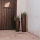 FICUS 60 colored round flower pot