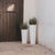 FICUS 60 colored round flower pot