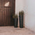 FICUS 60 colored round flower pot