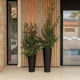 FICUS 60 colored round flower pot