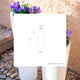 FICUS 60 colored round flower pot