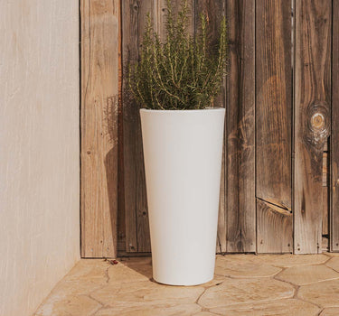 FICUS#TAMAÑO_ø29 x 59 cm#Color del producto_Blanco Opaco