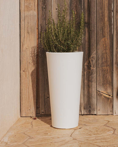 FICUS#TAMAÑO_ø29 x 59 cm#Color del producto_Blanco Opaco