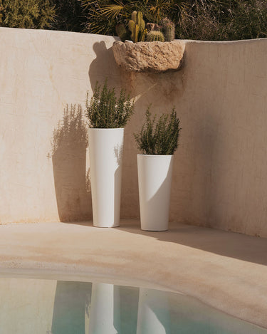 FICUS#Color del producto_Blanco Opaco
