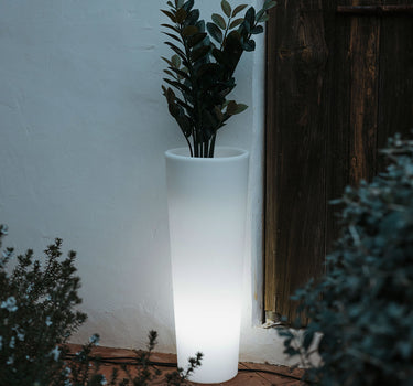 Macetero redondo con luz FICUS