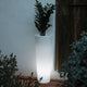 Round flowerpot with light FICUS 60