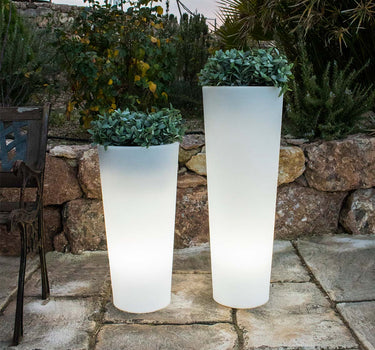Round flowerpot with light FICUS 60