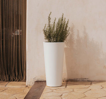 FICUS#TAMAÑO_ø29 x 59 cm#Color del producto_Blanco Opaco