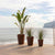 GERBERA 33 colored round flowerpot