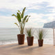 GERBERA 33 colored round flowerpot