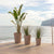 GERBERA 33 colored round flowerpot