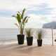 GERBERA 33 colored round flowerpot
