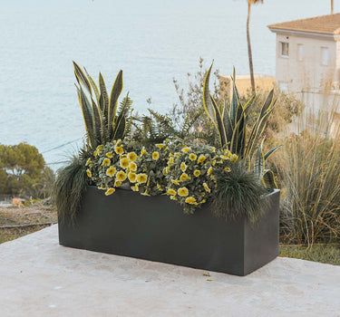 JARA 60 x 20 rectangular colored flower pot