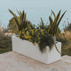 JARA 60 x 20 rectangular colored flower pot
