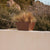 MACETERO RECTANGULAR JAZMIN 80 COLOR