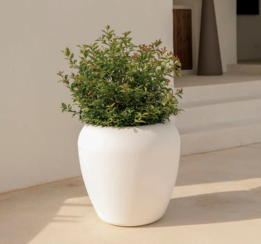Macetero Grande de Diseño Orgánico ARECA - 11