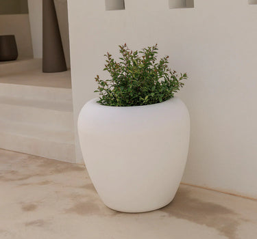 Macetero Grande de Diseño Orgánico ARECA - 33
