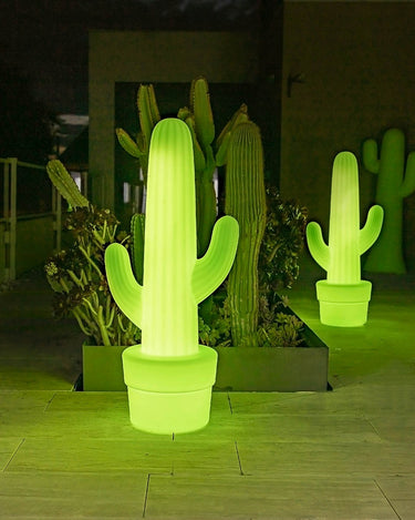kaktus-1#Alimentación_Cable (Uso exterior e interior)#color_Lima Translúcido#luz_Blanco frío