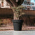 Round colored flower pot MAGNOLIA 30