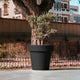 Round colored flower pot MAGNOLIA 30